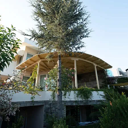 Blue Crystal Villa Nea Iraklitsa