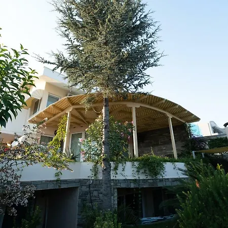 Villa Blue Crystal Nea Iraklitsa